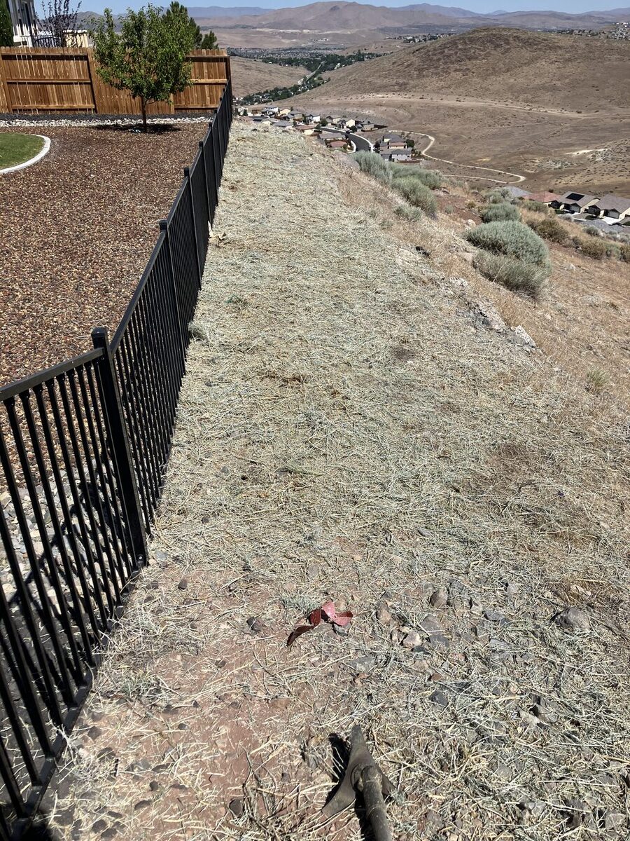 After brush thinning on a desert hillside