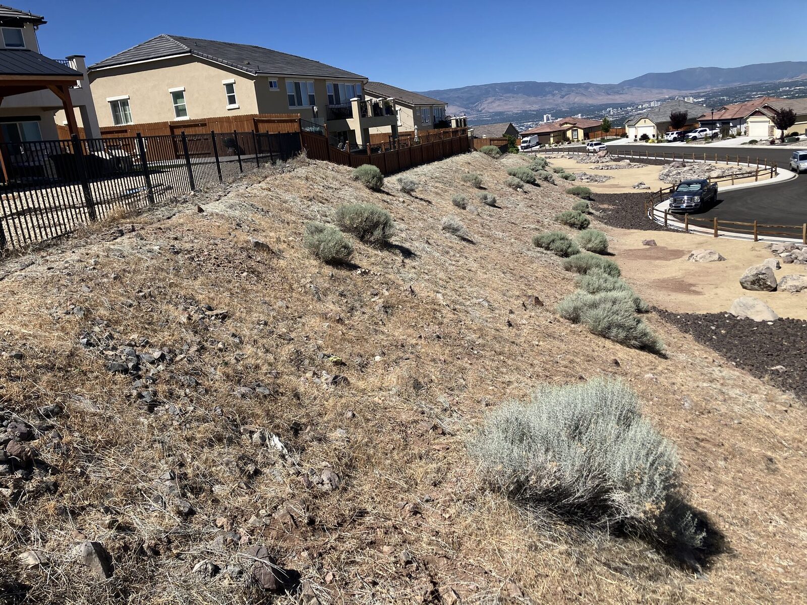 Treated hillside with spaced sagebrush below homes