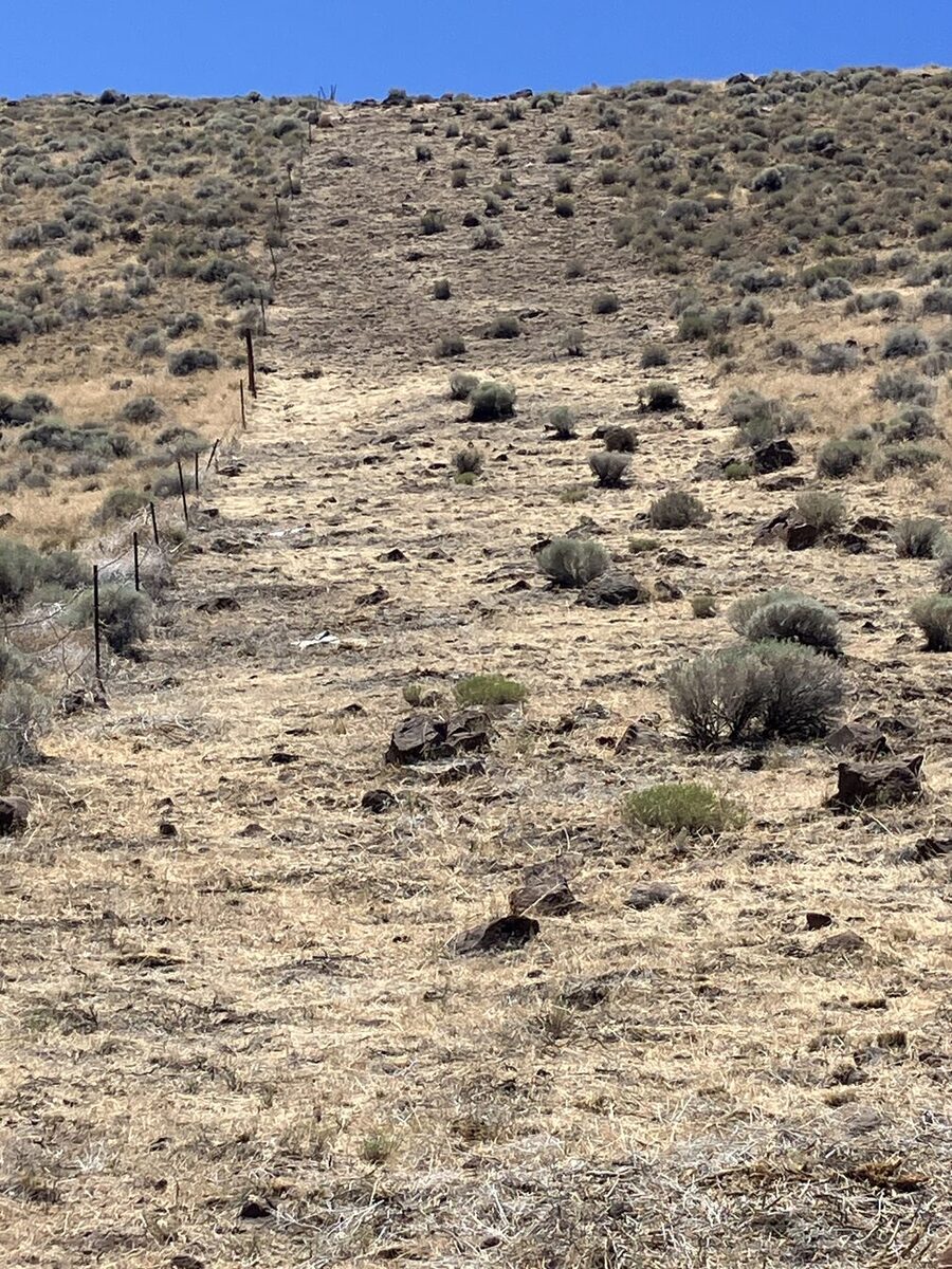 Fuel break corridor cleared up a steep hillside