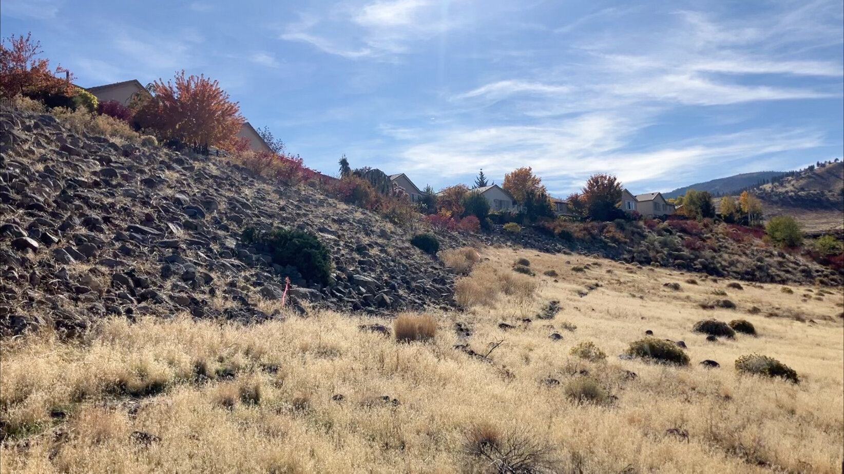 After: dry grass cleared off the rocky slope below homes
