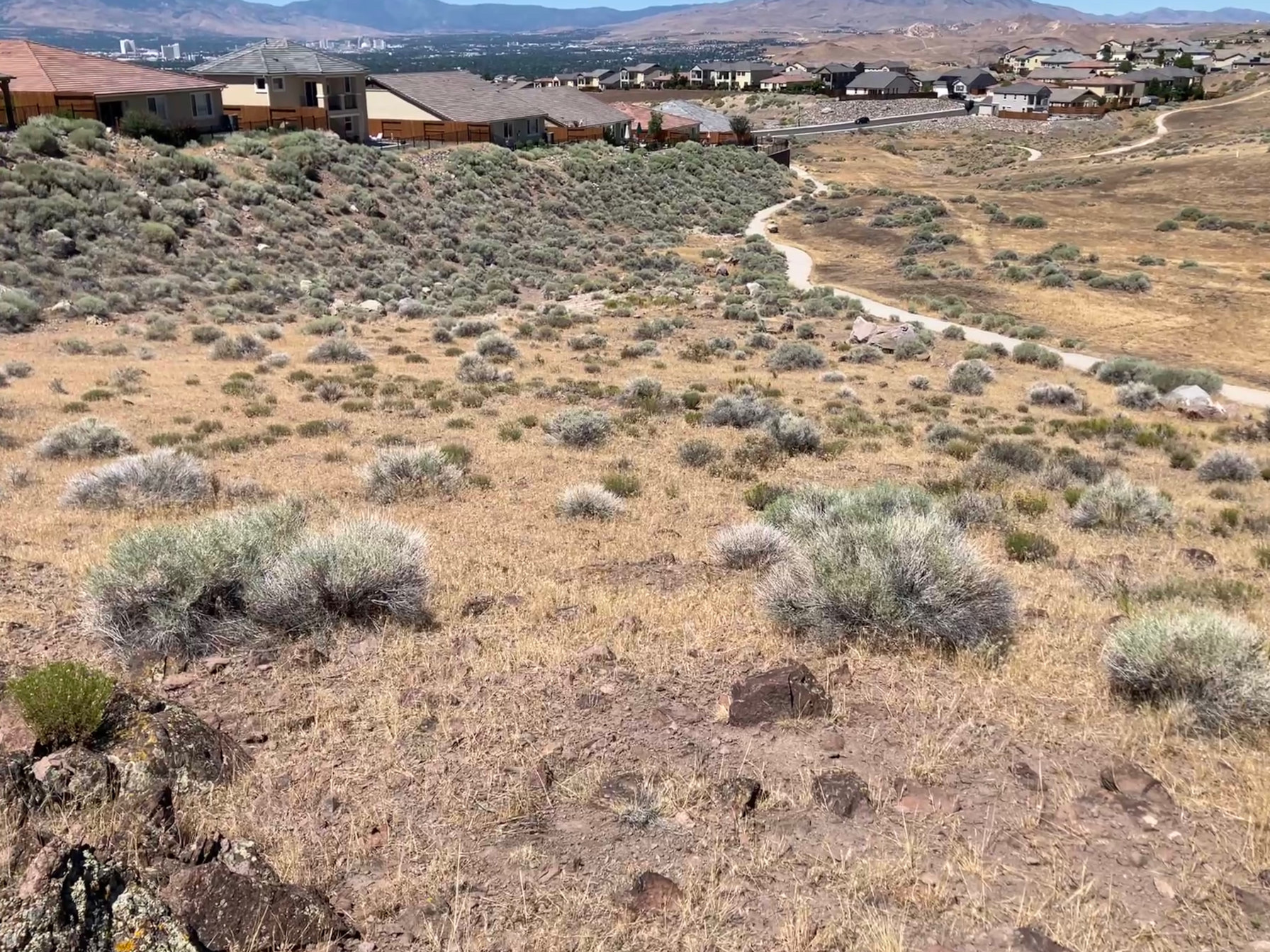 Before: denser sage on the slope below homes along a hillside path