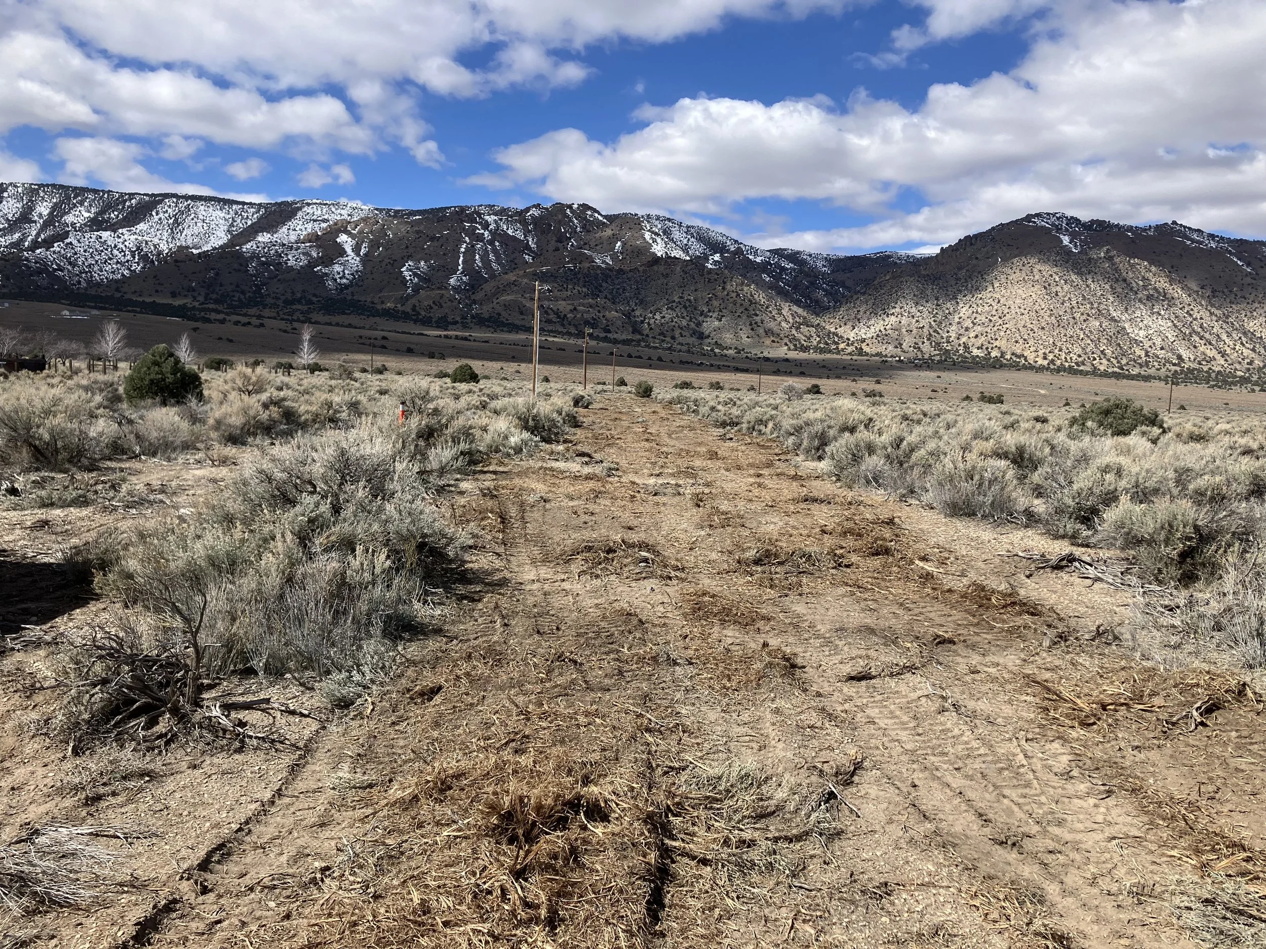 Fuel break corridor cleared through sagebrush toward the mountains