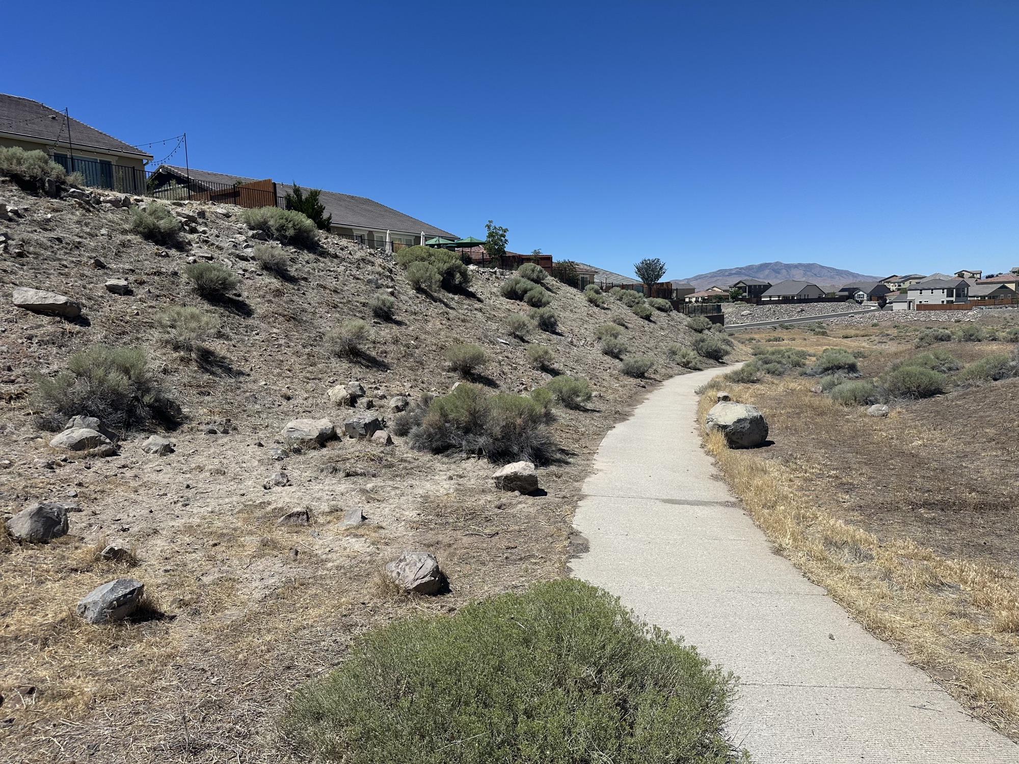 Dense sage along a hillside path below homes before treatment