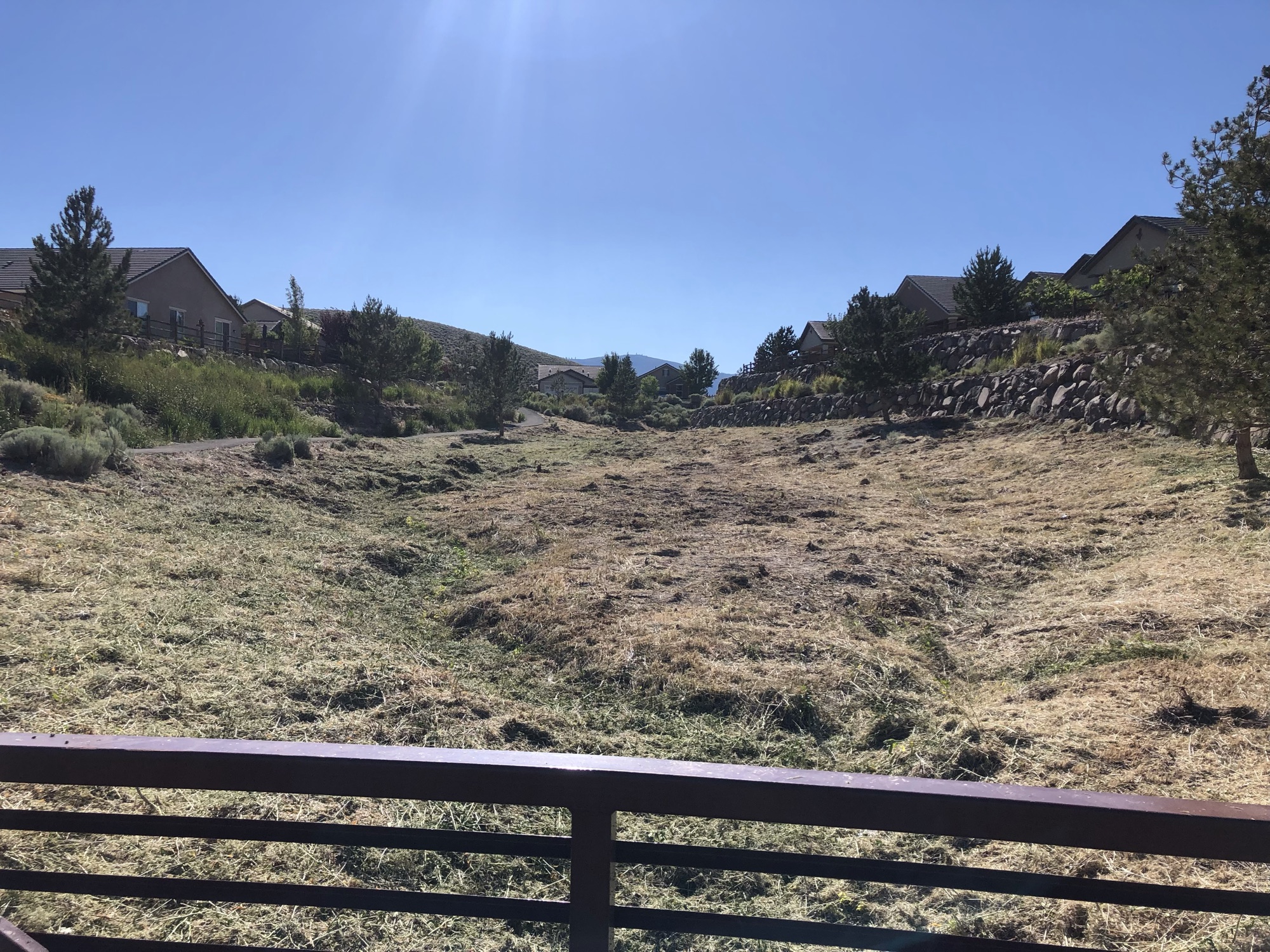 After: invasive weeds cleared from a drainage between homes